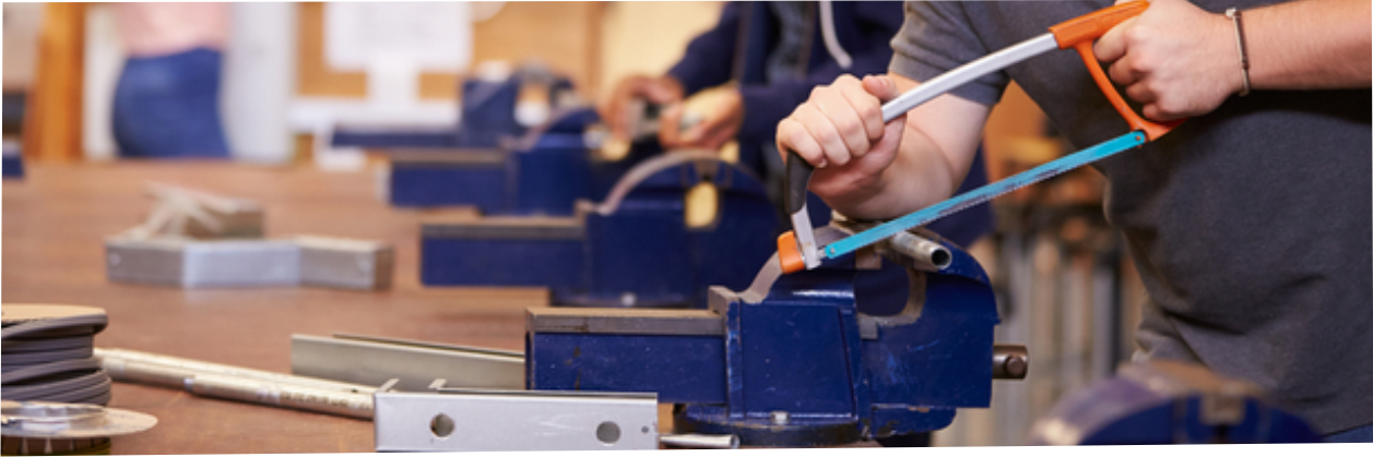 Skills Acquisition & Workforce Development